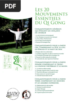 Les 20 Mouvements Essentiels du Qi Gong : Fiche Récapitulative