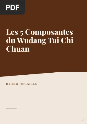 Les 5 Composantes du Wudang Tai Chi Chuan
