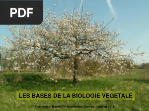 Les bases de la biologie végétale