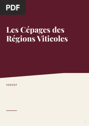Les cépages des grandes régions viticoles françaises