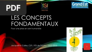 Les concepts fondamentaux en soins infirmiers