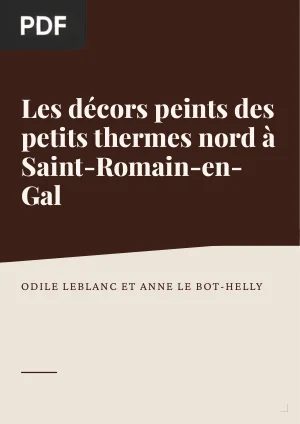 Les décors peints des petits thermes nord à Saint-Romain-en-Gal
