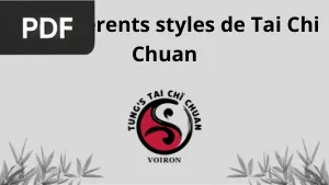 Les différents styles de Tai Chi Chuan