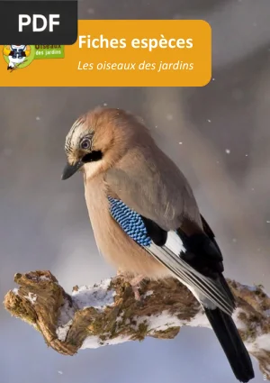 Les oiseaux des jardins : fiches d'identification