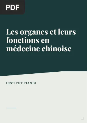 Les Organes et leurs Fonctions en Médecine Chinoise