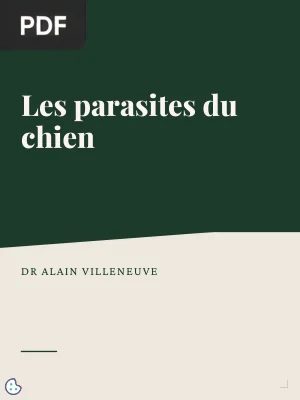 Les parasites du chien