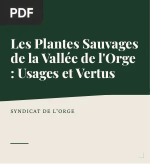 Les Plantes Sauvages de la Vallée de l'Orge : Usages et Vertus