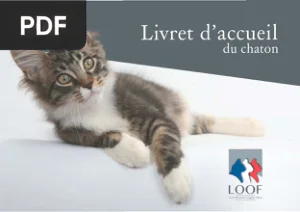 Livret d’accueil du chaton