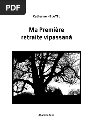 Ma Première retraite vipassaná