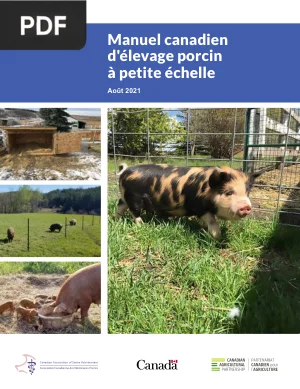 Manuel canadien d'élevage porcin à petite échelle