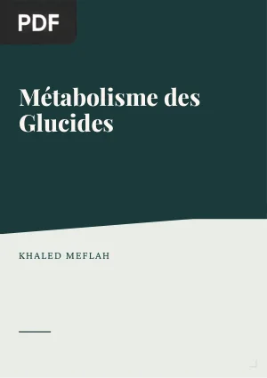 Métabolisme des Glucides