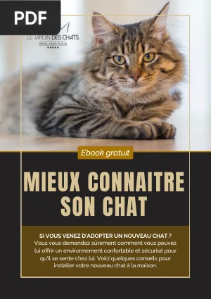 Mieux connaître son chat