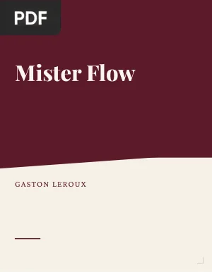 Mister Flow