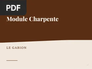 Module Charpente