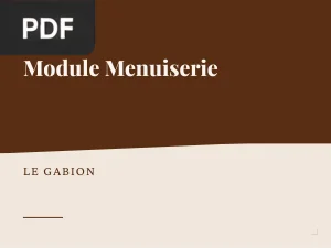 Module Menuiserie
