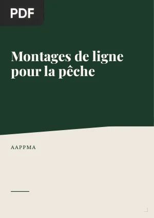 Montages de ligne pour la pêche