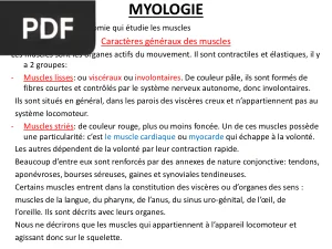Myologie veterinaire