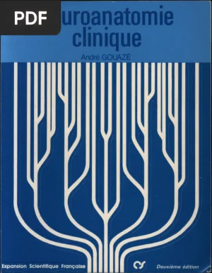Neuroanatomie clinique