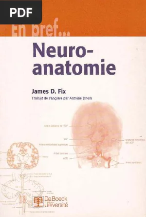 Neuroanatomie en Bref