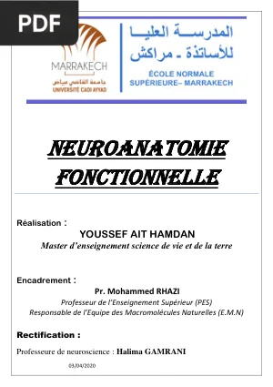 Neuroanatomie fonctionnelle