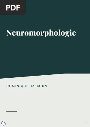 Neuromorphologie