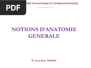 Notions d'Anatomie Générale