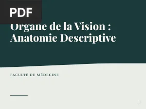 Organe de la Vision : Anatomie Descriptive