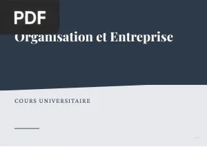 Organisation et Entreprise : Structure, Culture et Pouvoir