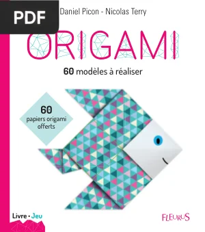 Origami 60 modèles à réaliser