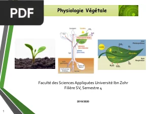 Physiologie Végétale - Cours S4