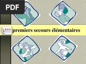 Premiers Secours Élémentaires
