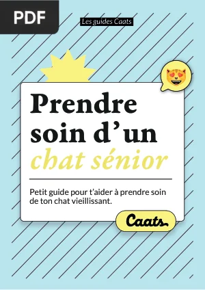 Prendre soin d’un chat senior
