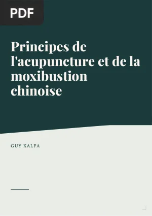 Principes de l'acupuncture et de la moxibustion chinoise