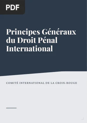 Principes Généraux du Droit Pénal International