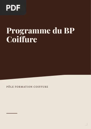 Programme du BP Coiffure