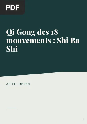 Qi Gong des 18 Mouvements : Shi Ba Shi