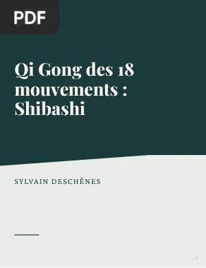 Qi Gong des 18 Mouvements : Shibashi