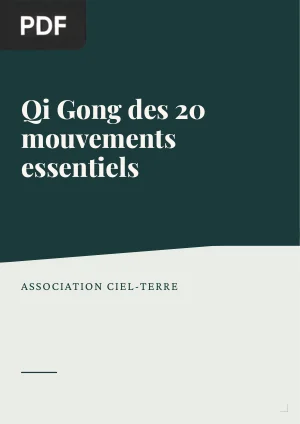 Qi Gong des 20 Mouvements Essentiels