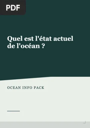 Quel est l’etat actuel de l’ocean ?