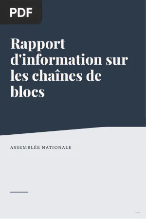 Rapport d'Information sur les Chaînes de Blocs