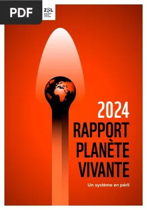 Rapport Planète Vivante 2024 : un système en péril