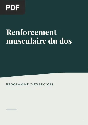 Renforcement musculaire du dos