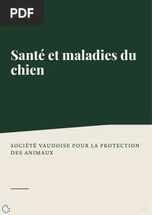 Santé et maladies du chien