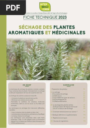 Séchage des Plantes Aromatiques et Médicinales : Fiche Technique