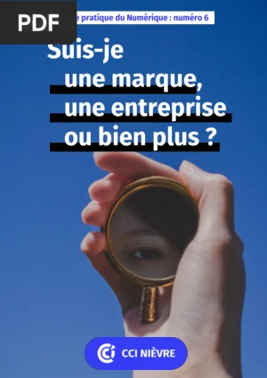 Suis-je une Marque, une Entreprise ou Bien Plus ?