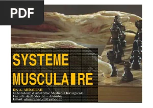 Système Musculaire