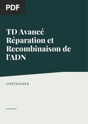 TD Avancé Réparation et Recombinaison de l'ADN