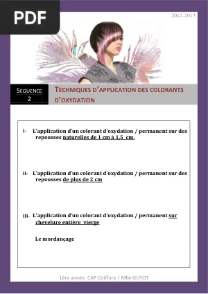 Techniques d'Application des Colorants d'Oxydation