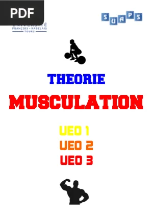 Théorie de la Musculation