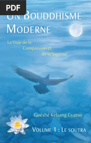 Un Bouddhisme moderne